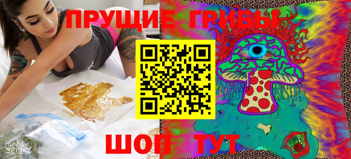 Псилоцибиновые грибы мицелий  Вход с VPN  Псилоцибиновые грибы Psilocybine cubensis  Черкесск 
